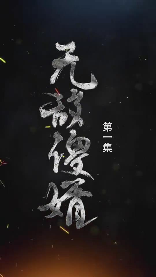 无敌傻婿